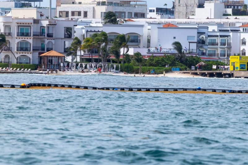 Sargazo en Playa del Carmen: coordinación institucional, pero con el reto de demostrar resultados