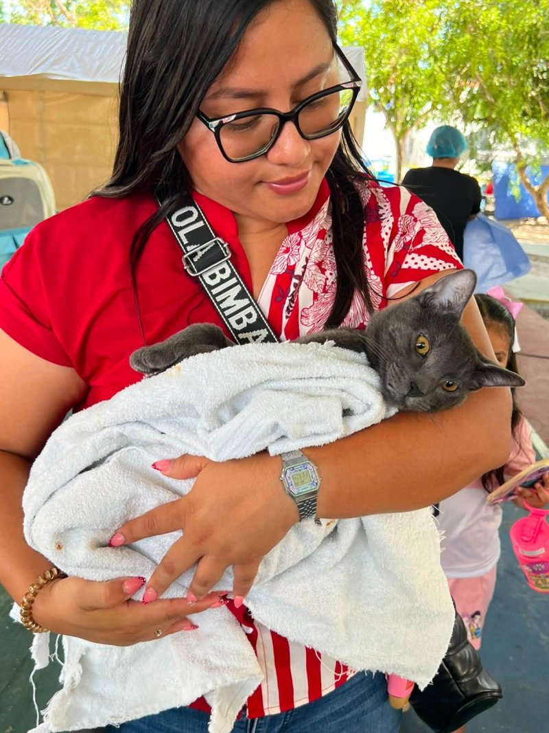 Esterilizar también es prevenir: Quintana Roo apuesta por el bienestar animal