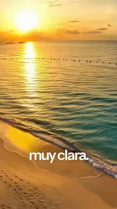 Playa del Carmen impulsa turismo inclusivo en el Día Mundial del Turismo