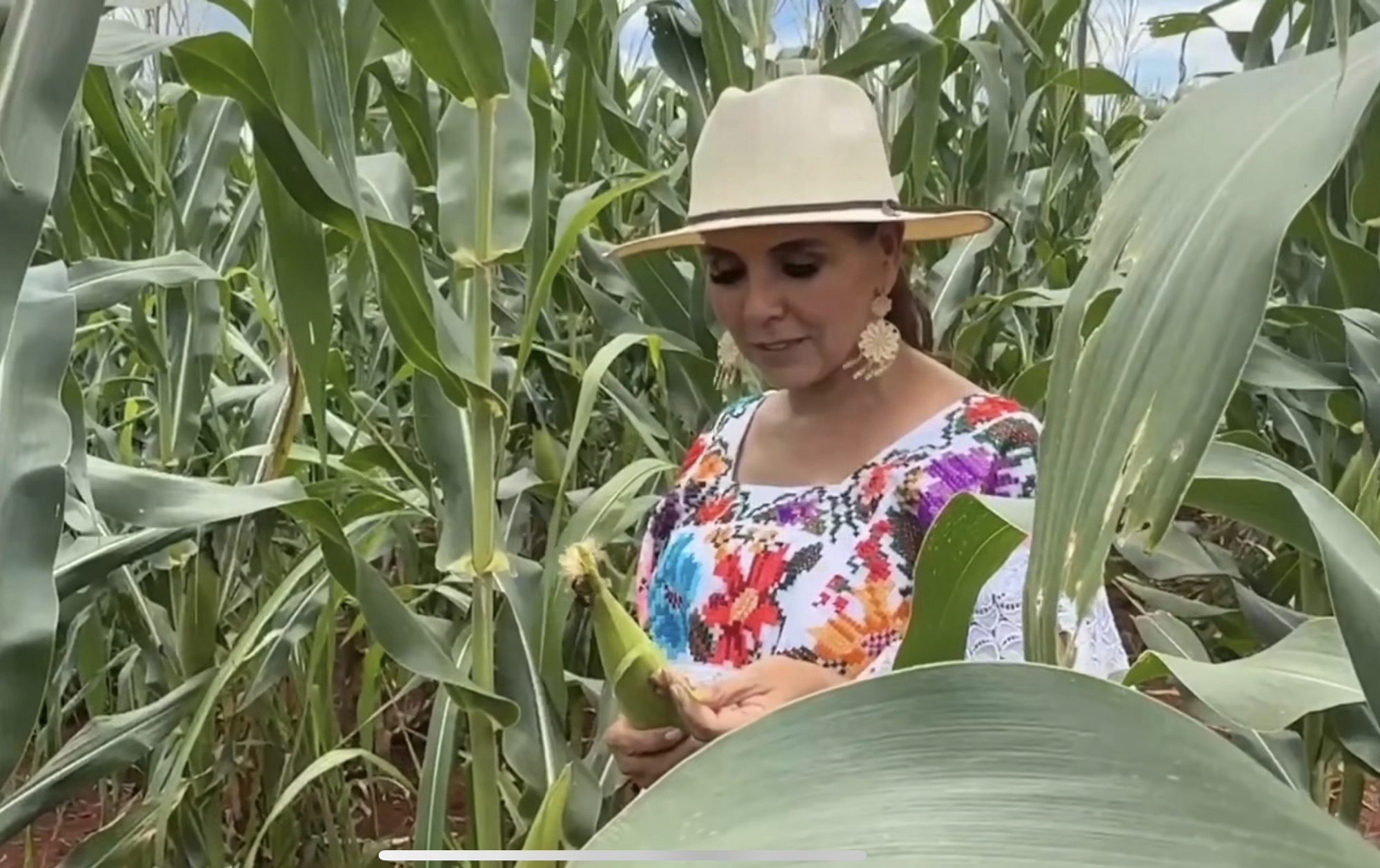 Mujeres del Maíz: un reconocimiento a la raíz cultural de México