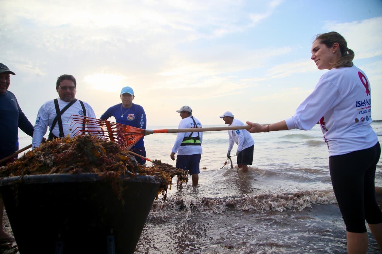 Playas bajo presión: la batalla diaria contra el sargazo en Isla Mujeres